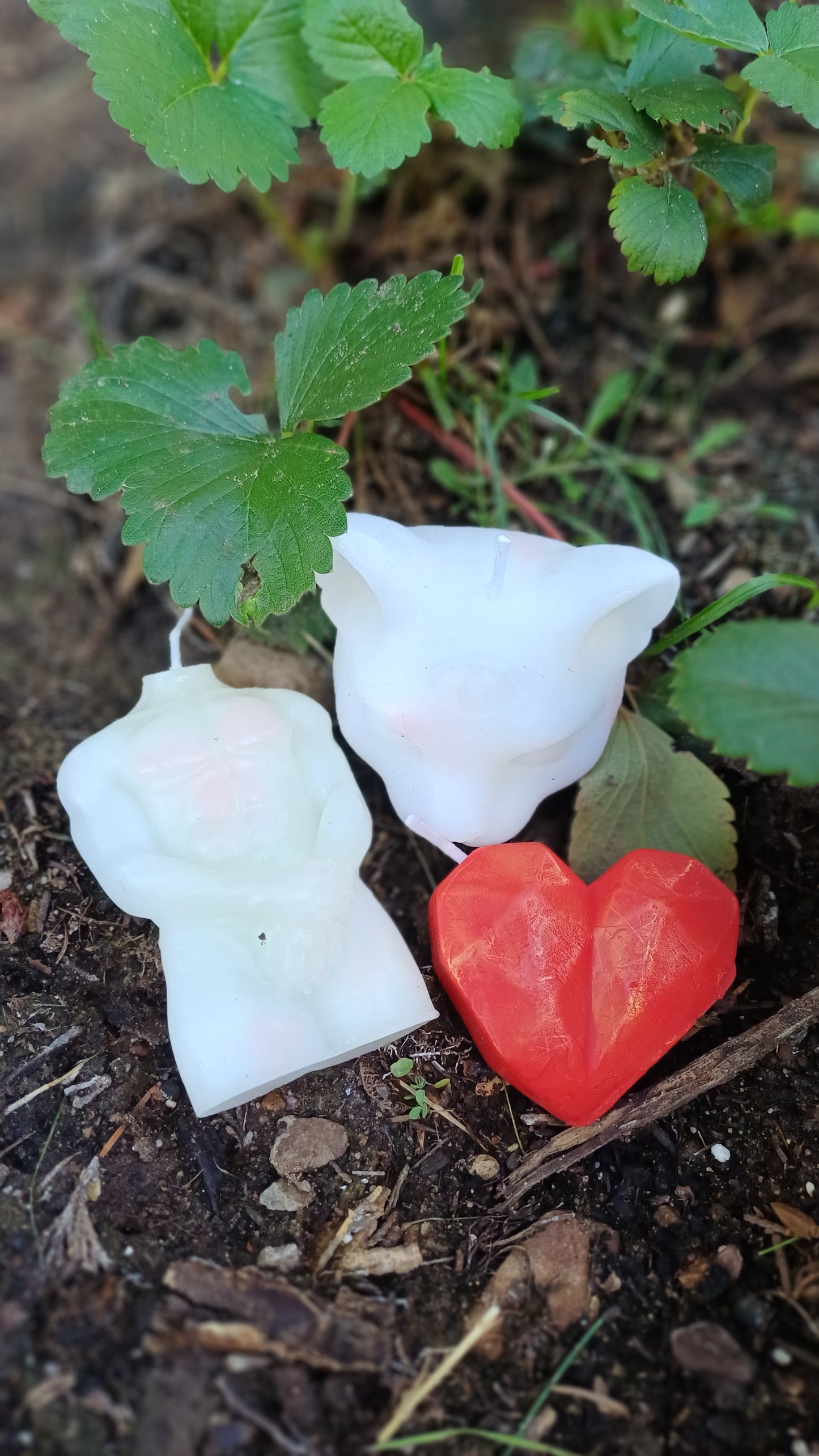 ✨ Erdbeer-Vollmond Ritual: Loslassen in Liebe ✨ Nur am 02.07.2026 – 3 persönliche Plätze